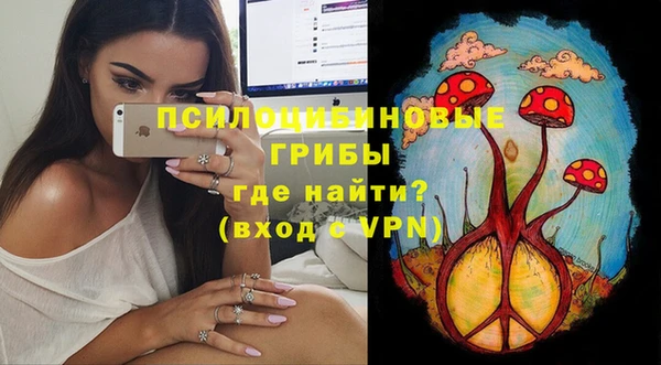apvp Касимов