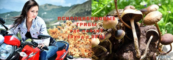 apvp Касимов
