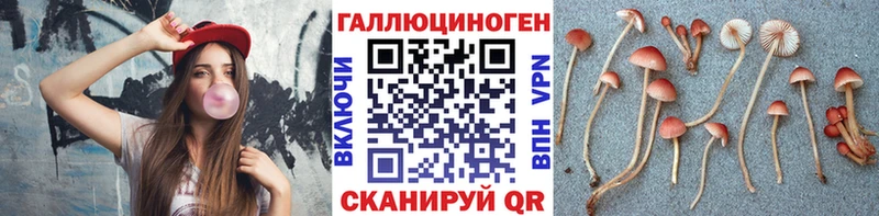 mega ссылки  Арзамас  Псилоцибиновые грибы Cubensis 